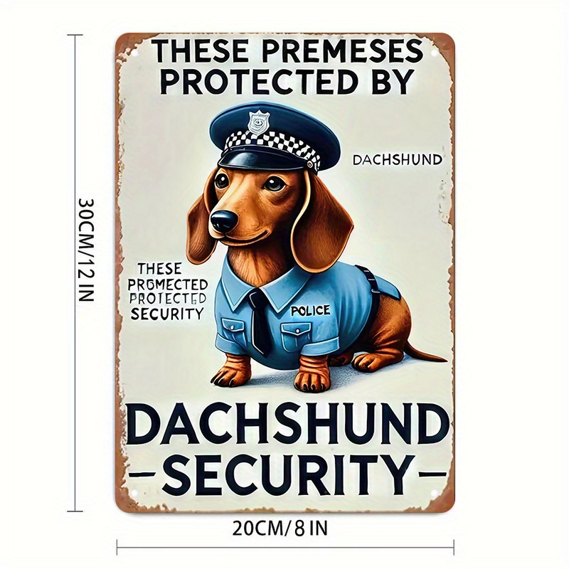 2D Flat, [2D Flat] 1-Piece Fun - Home Yard Security recension och pris